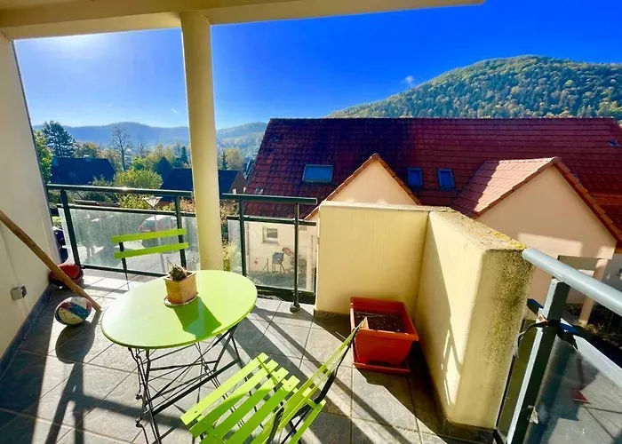 Au Nid De Cigogne Avec Garage A Kaysersberg